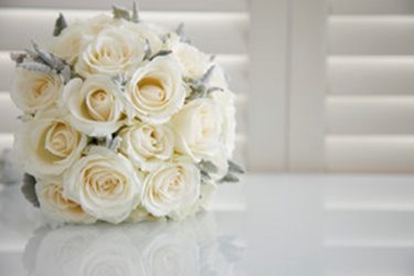 White Roses with Copy Space